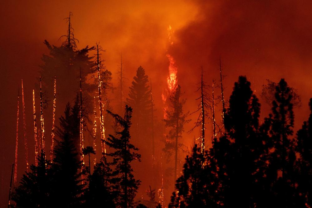 A forest is incinerated by the Oak Fire near Midpines, northeast of Mariposa, Calif., on July 23, 2022.