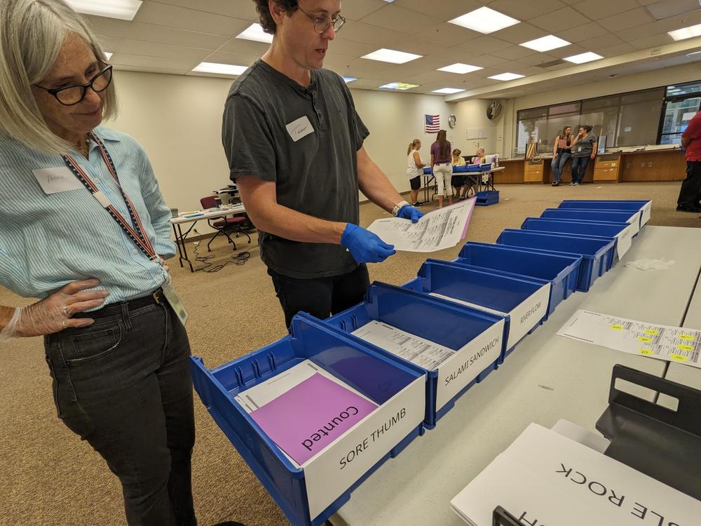 Election workers Anne Silveria and Tanner Johnson sort ballots during the mock hand count in Redding, Calif., Aug. 17, 2023.