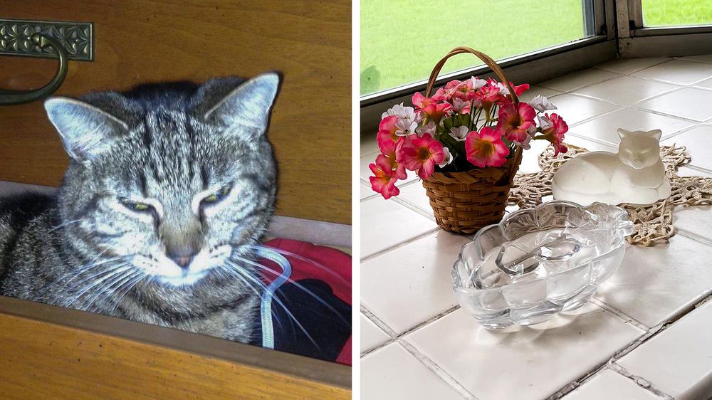 Left: Marie Hernandez's cat, Fina. Right: Hernandez displays a glass cat figurine and a water dish in the kitchen bay window where Fina loved to hang out.