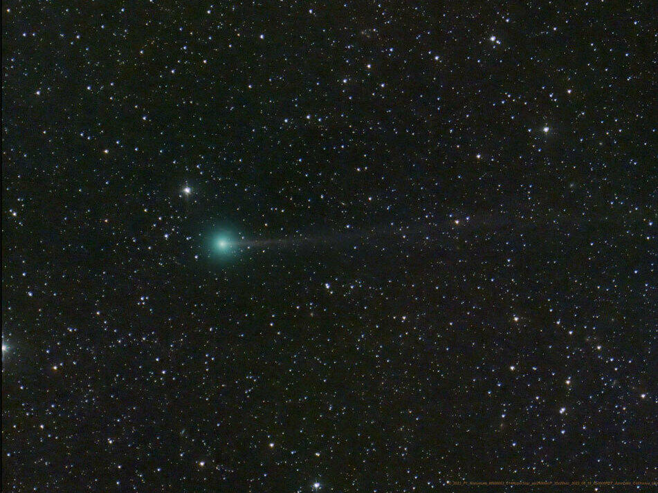 Meet the comet Nishimura.