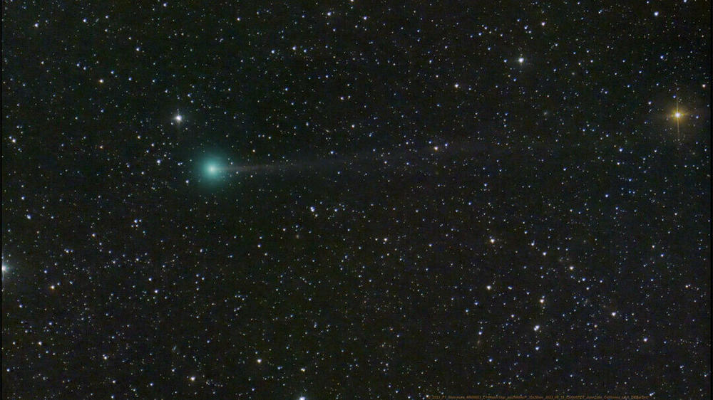 Meet the comet Nishimura.