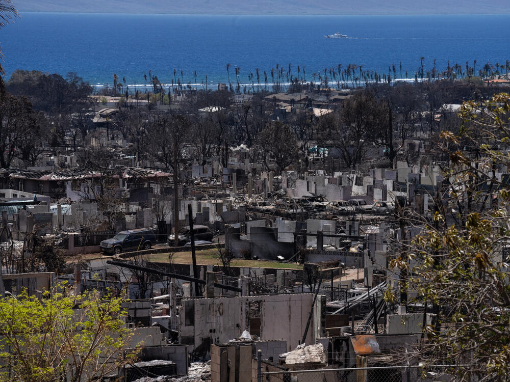 A scene of destruction after the wildfire in Lahaina, Maui in August 2023.