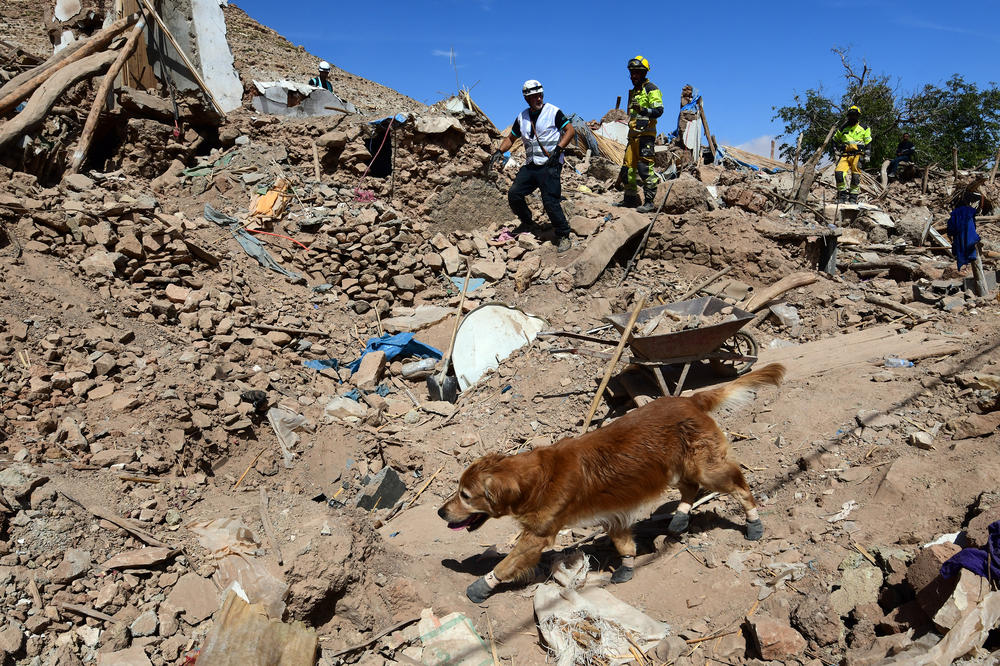Kilian searches through rubble in Tnirte for this town's last missing person: a nine-year-old girl named Shaima.