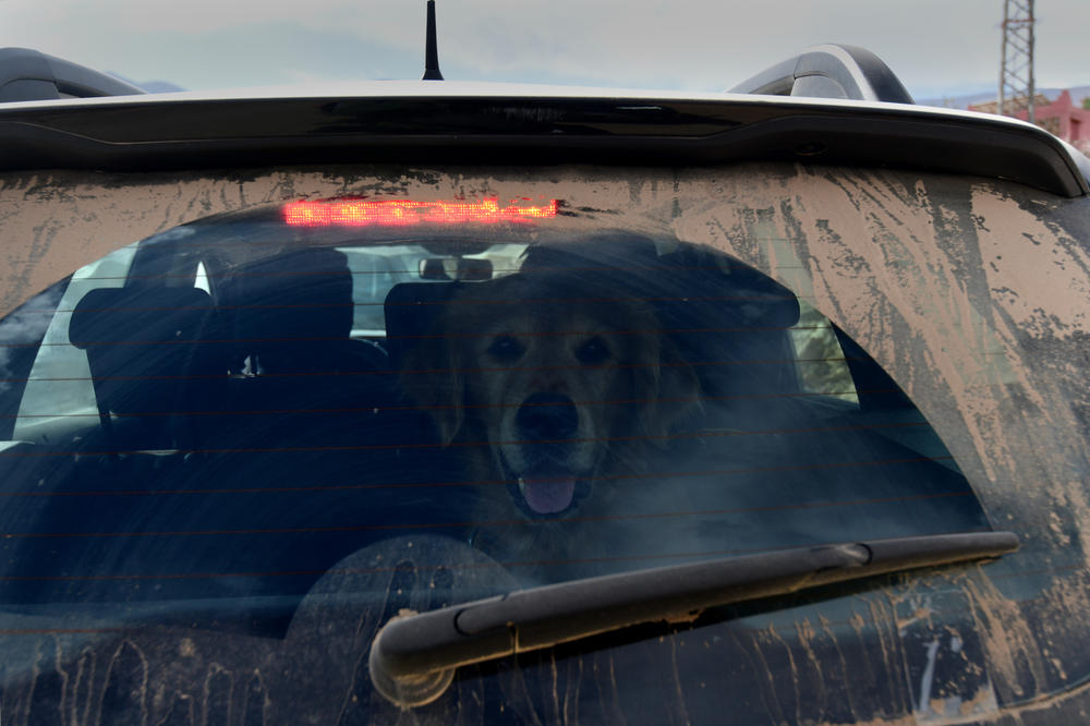 Kilian as seen through the windshield of the car.