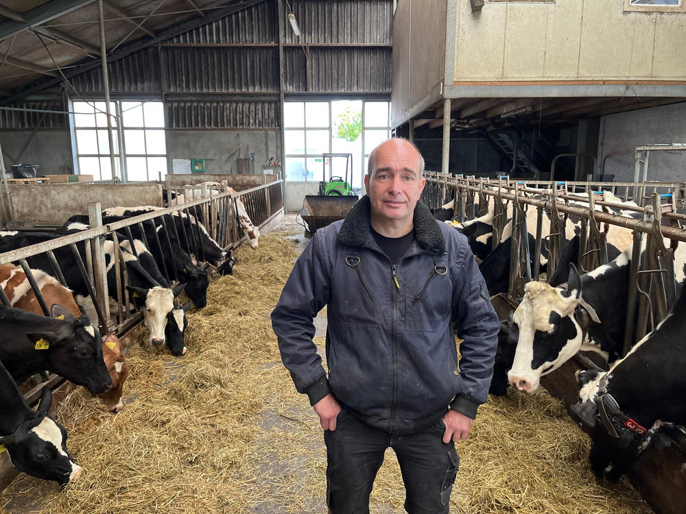 Farmer Wilbert van der Post is worried that the Dutch government's new nitrogen reduction rules will force him, a fourth-generation farmer, out of business. He plans to vote for the Farmer-Citizens Movement, known in the Netherlands by its acronym, BBB, on election day in November.