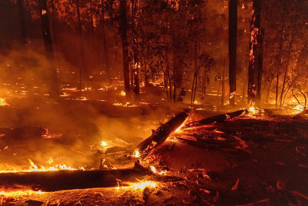 Fallen tree trunks and branches cover a road during the Oak Fire near Midpines, northeast of Mariposa, Calif., on July 23, 2022.