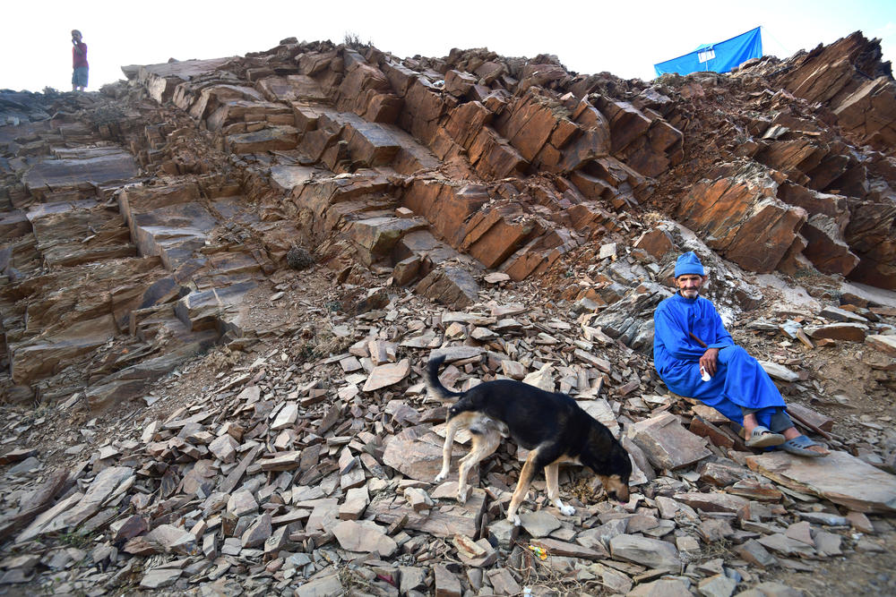 A dog with an injured leg on the mountain road leading to the village of Imi N'Tala, Morocco, on Sept. 13. Many farm and domestic animals were also killed and injured in the earthquake.