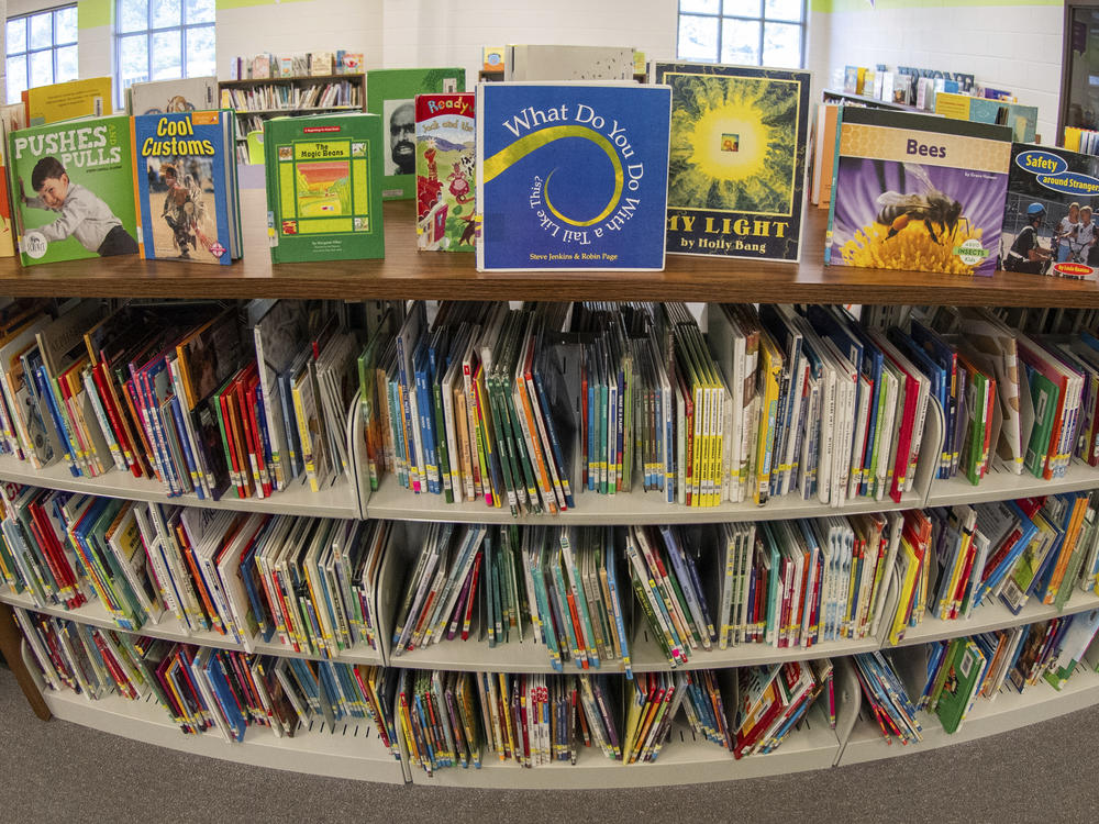 Books sit on shelves in an elementary school library in suburban Atlanta on Aug. 18.