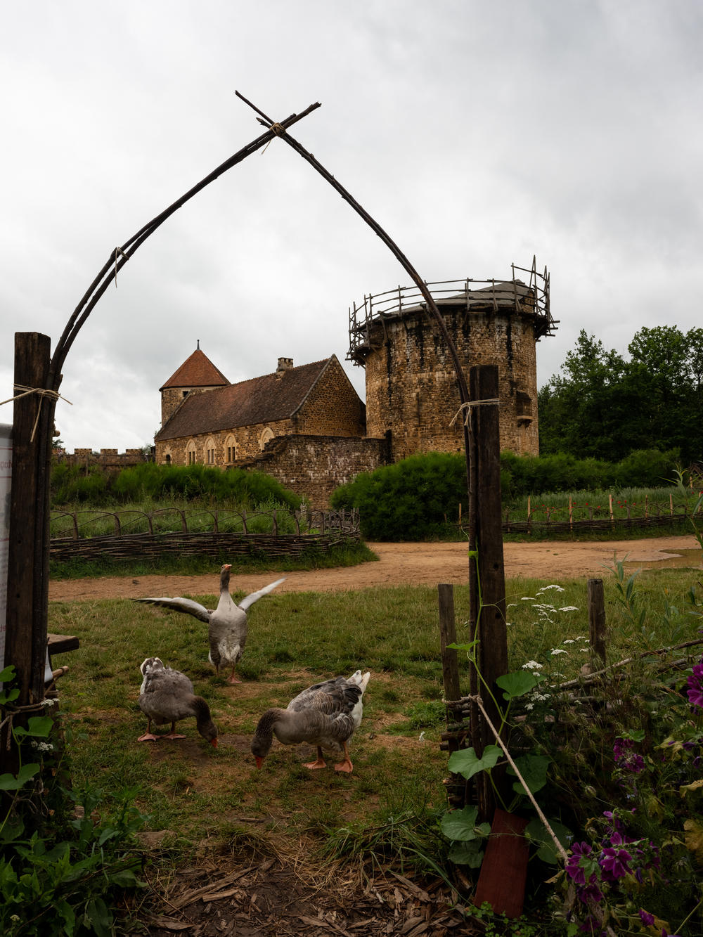 Geese wander near Guédelon Castle's gardens, where gardeners plant only flora that existed in the Middle Ages.