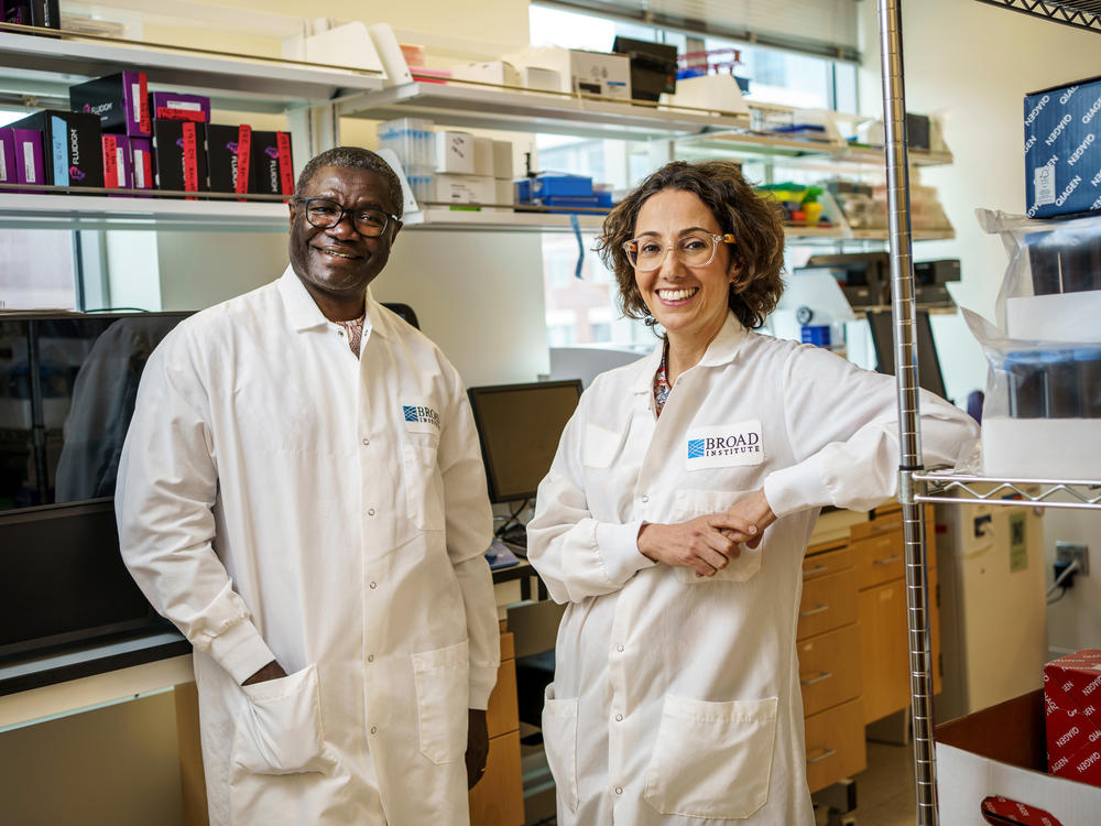 Long-time collaborators Pardis Sabeti (right) of the Broad Institute and Christian Happi of the African Centre of Excellence for Genomics of Infectious Diseases in Nigeria, are developing an early-warning system that could flag an emerging pandemic .