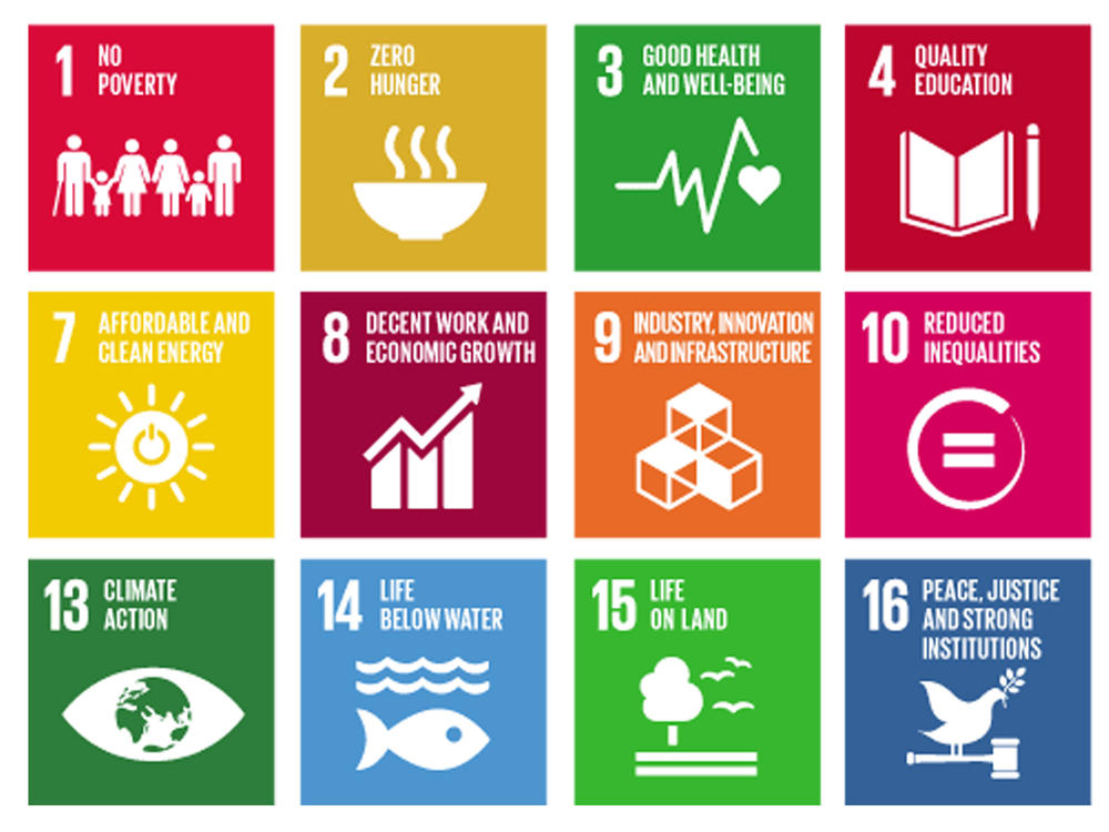 The United Nations Sustainable Development Goals (SDGs) to achieve by 2030.