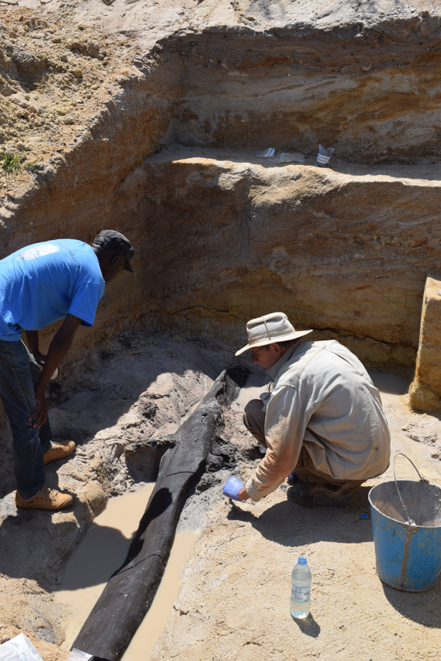 Researchers work on the excavation of an ancient wooden structure.