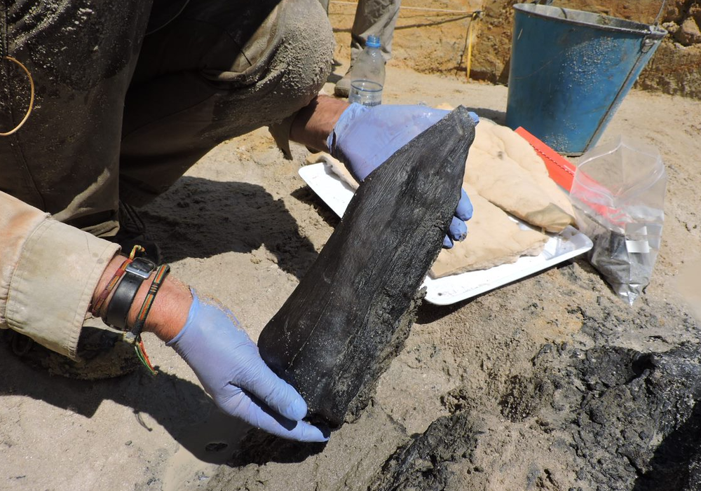 An archeologist holds up a piece of ancient wedge-shaped wood that was excavated near the Kalambo river in Zambia.