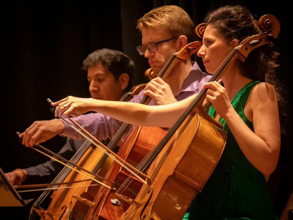 Cellist Katie Tertell (front right) performs at the <a href=