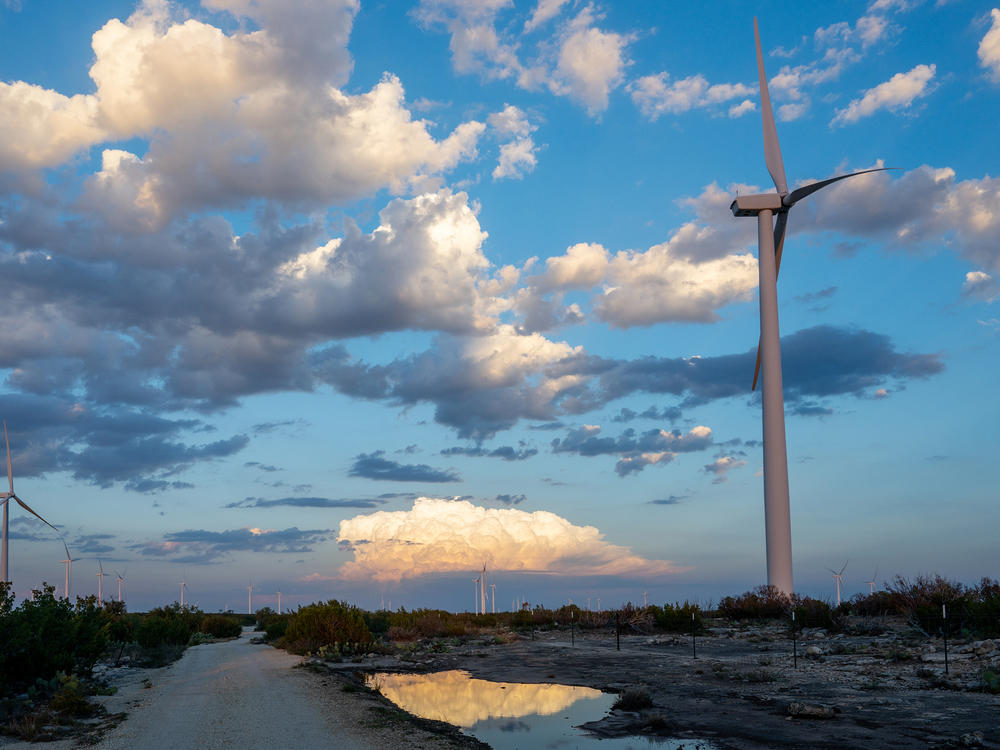 Wind turbines are seen in Big Spring, Texas. Humans are driving global warming; that means humans can find solutions to change our trajectory.