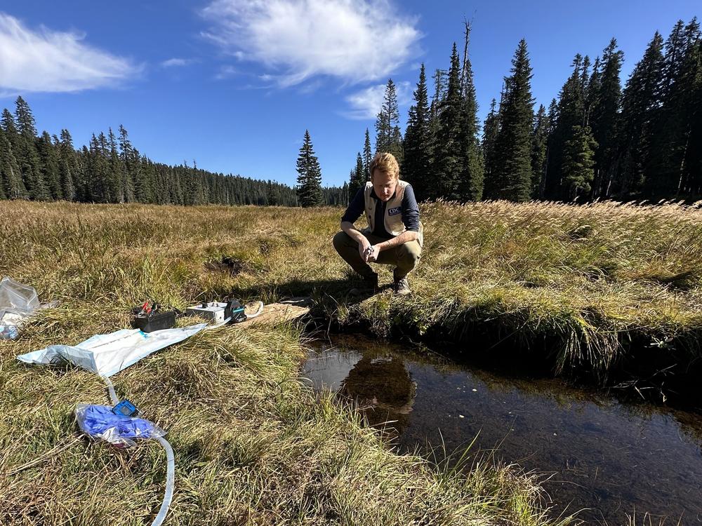 EIS officer Arran Hamlet observes a water source being tested for environmental contamination of fecal waste and norovirus.