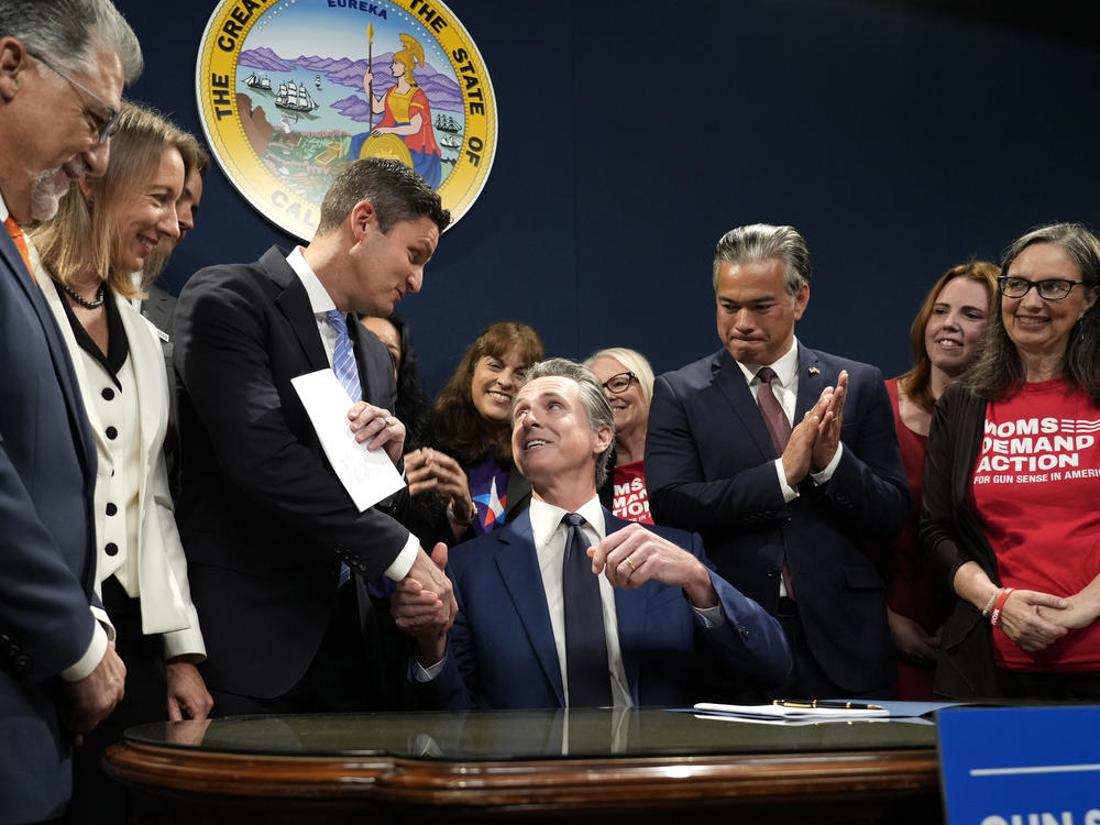 California Gov. Gavin Newsom shakes hands with Assemblymember Jesse Gabriel, D-Los Angeles County, after signing Gabriel's bill that raises taxes on guns and ammunition in Sacramento on Tuesday, Sept. 26, 2023.