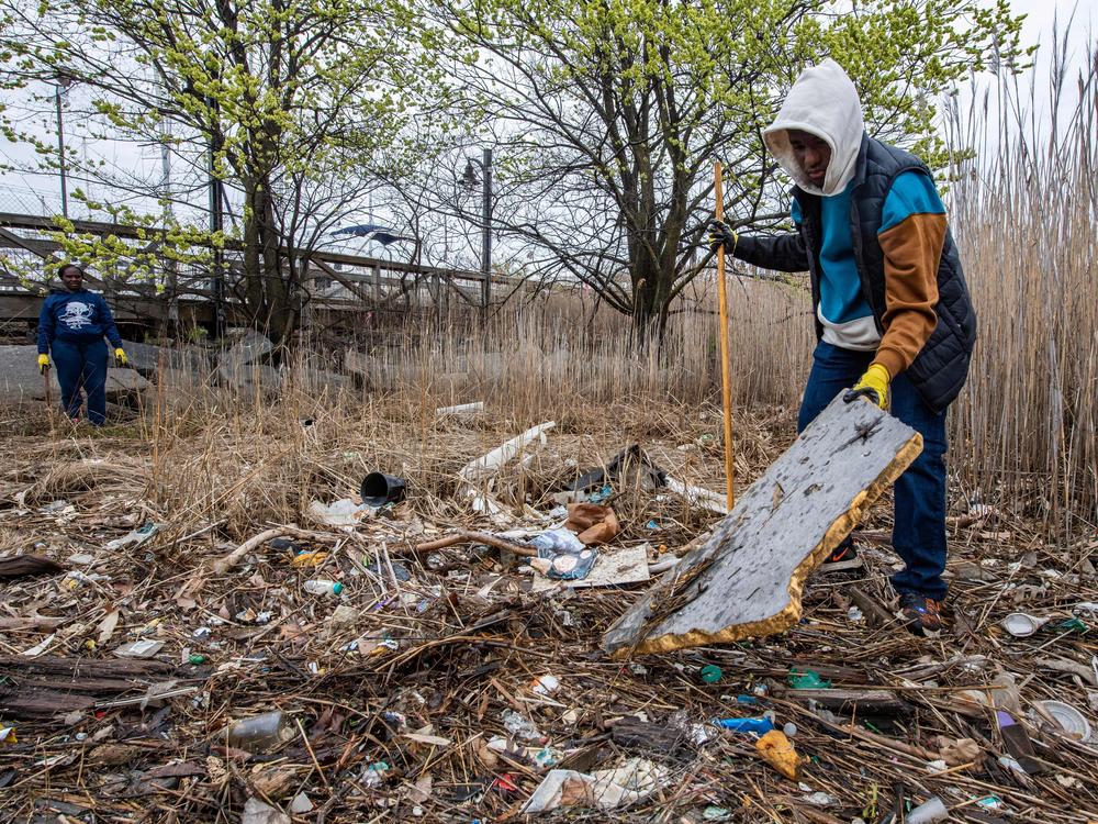 Volunteers clean trash from a salt marsh in Massachusetts.