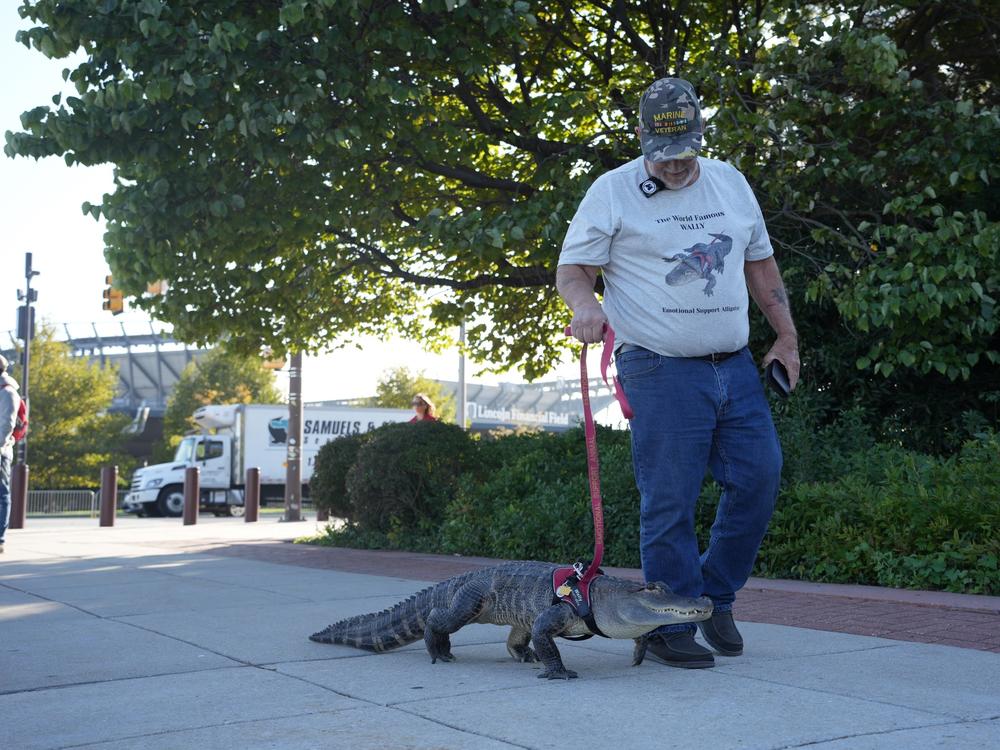 Joie Henney and his emotional support alligator, Wally, were denied entry to a Phillies' game at Citizens Bank Park on Wednesday — but hope to be invited back soon.