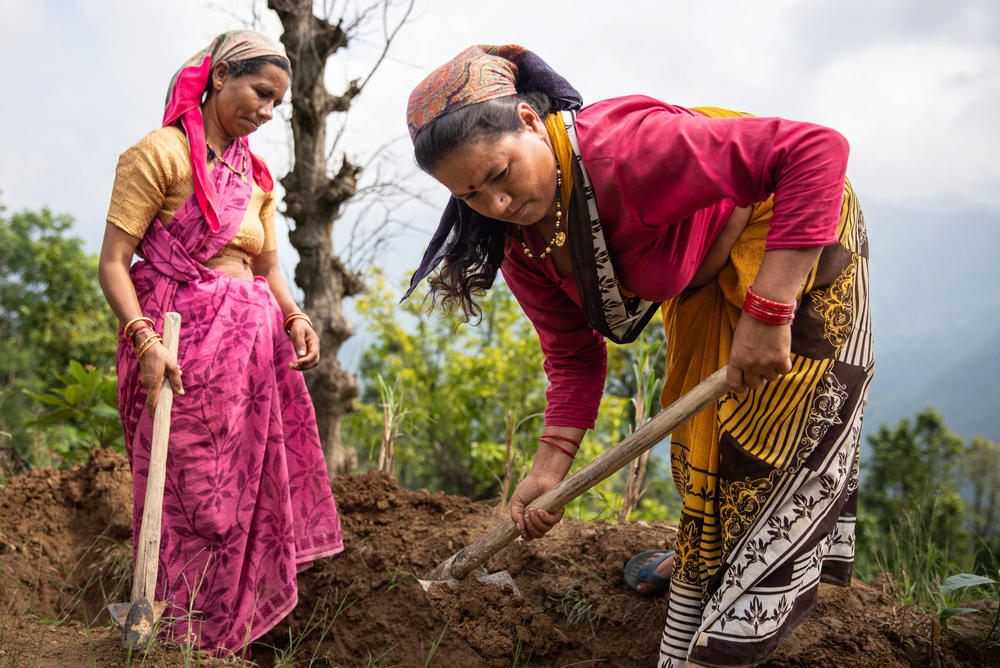 Bachuli Devi and Janaki Sammal, members of Raushil village's water committee, dig a percolation pit, where rainwater can collect and seep into the soil and reach a spring rather than gushing over the surface.