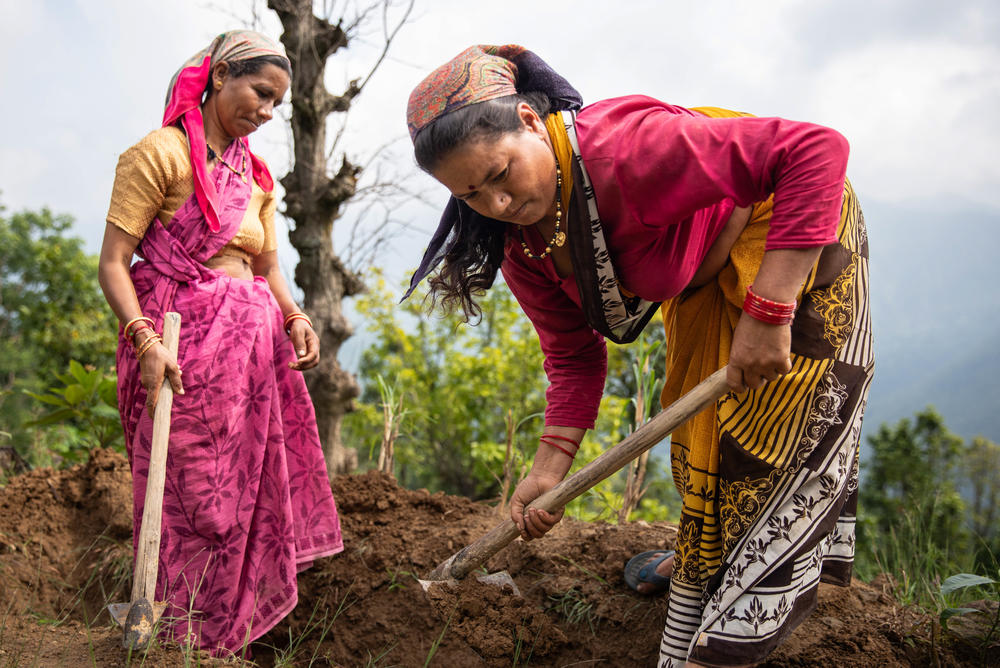 Bachuli Devi and Janaki Sammal, members of Raushil village's water committee, dig a percolation pit, where rainwater can collect and seep into the soil and reach a spring rather than gushing over the surface.