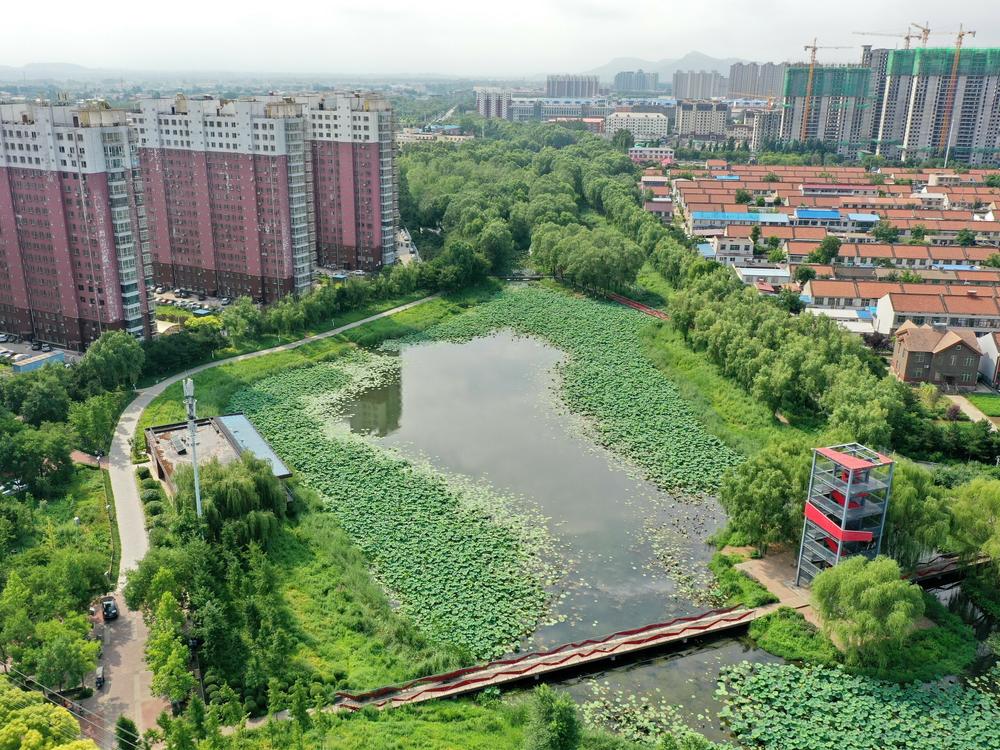 This natural pond helps reserve precipitation in the ecological corridor of Qian'an, a city in China's Hebei province. Like many other Chinese cities, Qian'an used to fall victim to urban flooding during rainy seasons. But things have changed since 2015, when the city was included in a national pilot program for 