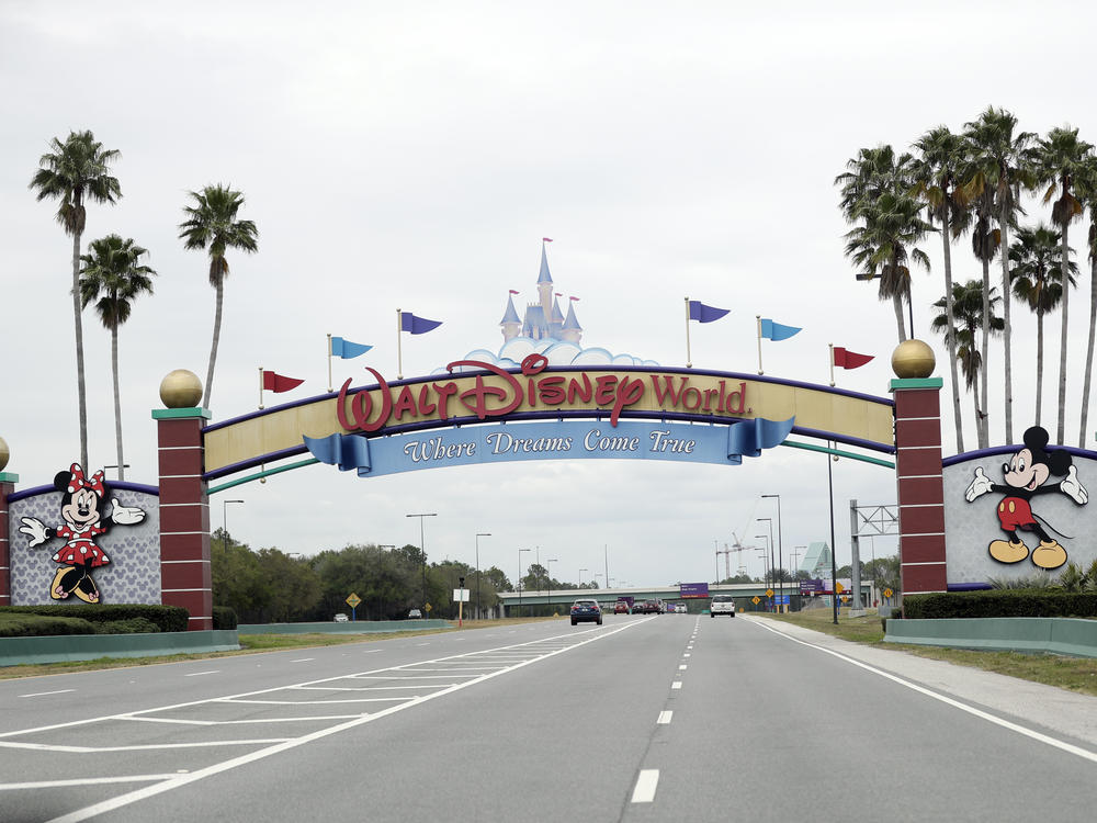 A woman has sued Walt Disney Parks and Resorts for negligence, claiming a ride down a water slide at Florida's Disney World left her severely injured.