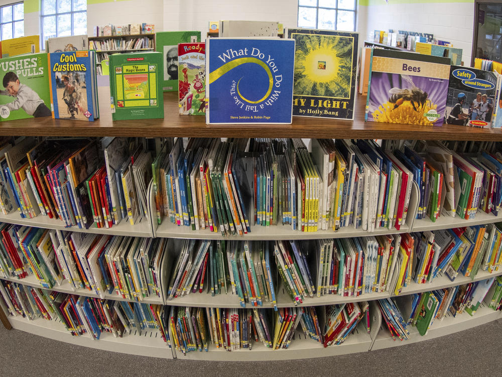 Books seen in an elementary school library in suburban Atlanta on Aug. 18. There have been a growing number of books pulled from school libraries in the past few years.