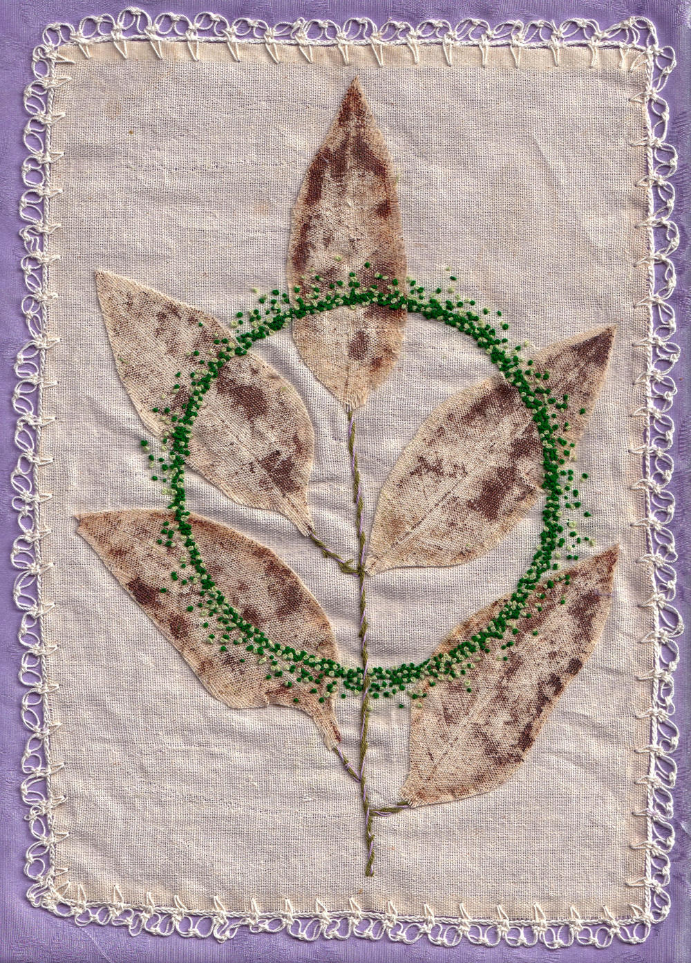 Muicle leaves are used and recommended by midwives for women who suffer from anemia during their pregnancies. The leaves are drunk in tea.