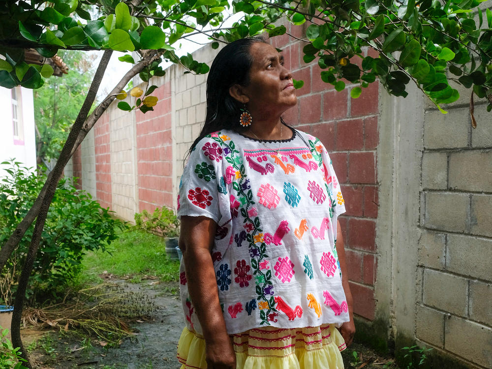 Apolonia Plácido in the backyard of the CAMI Nellys Palomo. She is a Mixteco leader from the Mountain of Guerrero, president and one of the founders of the CAMI San Luis Acatlán.