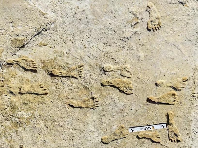 Scientists studying fossil human footprints in New Mexico say their age implies that humans arrived in North America earlier than thought.