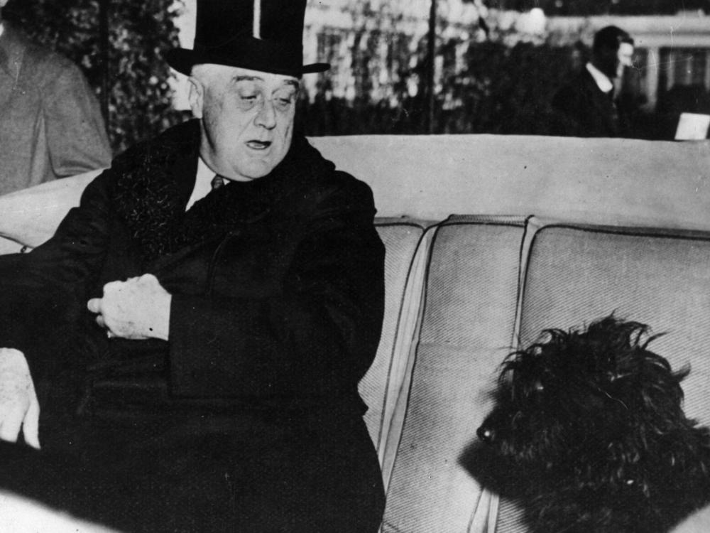President Franklin Delano Roosevelt in his car with his Scottish terrier, Fala, in 1941.