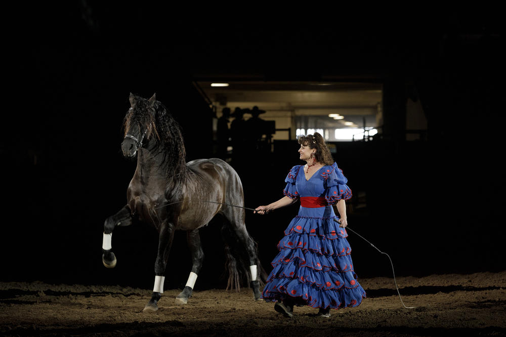 Staci Diaz and her horse prepare to entertain the audience at the Mexican Rodeo Extravaganza with their performance called 