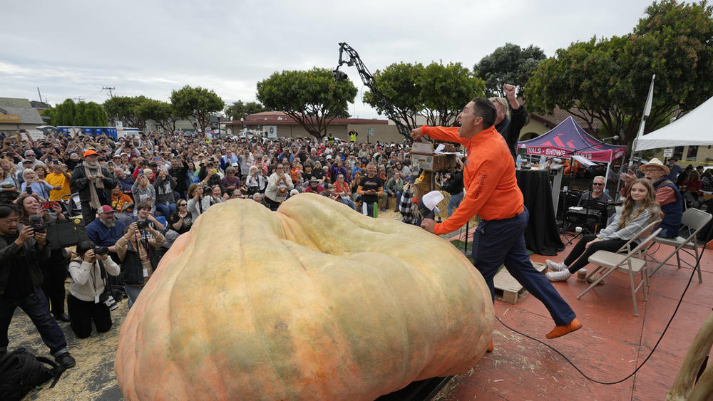 Travis Gienger of Anoka, Minn., reacts after winning the Safeway 50th annual World Championship Pumpkin Weigh-Off in Half Moon Bay, Calif., Monday, Oct. 9.