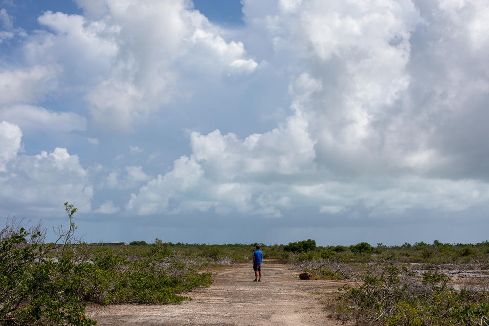 Chris Bergh looks out over what used to be Key deer habitat, now impacted by rising seas. 