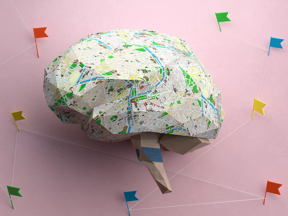 Scientists have built an enormous atlas of the human brain that could help them chart a path toward preventing and treating many different neurological disorders.