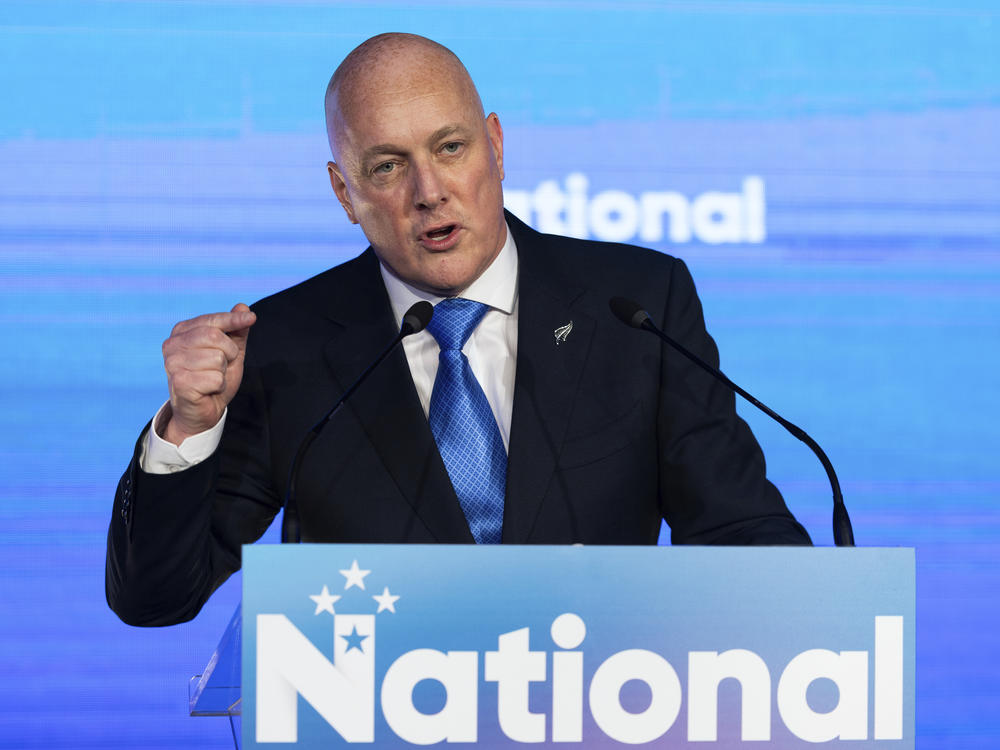 New Zealand National Party leader and Prime Minister elect Christopher Luxon speaks to supporters at a party event in Auckland on Saturday.