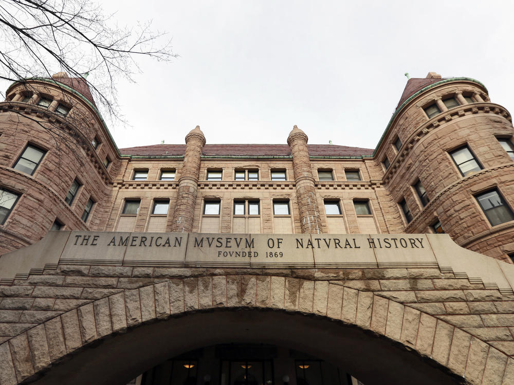 New York's American Museum of Natural History plans to improve its stewardship of thousands of human remains in its collection.