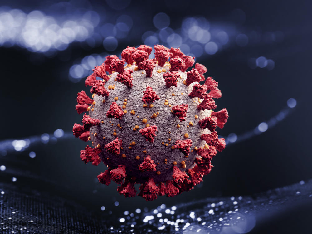 Corona virus