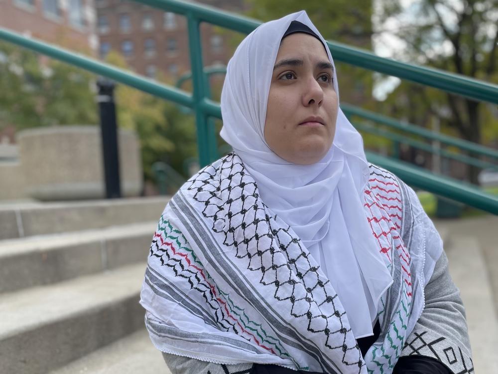 Rania Mustafa is the Executive Director of the Palestinian American Community Center in Clifton, New Jersey.