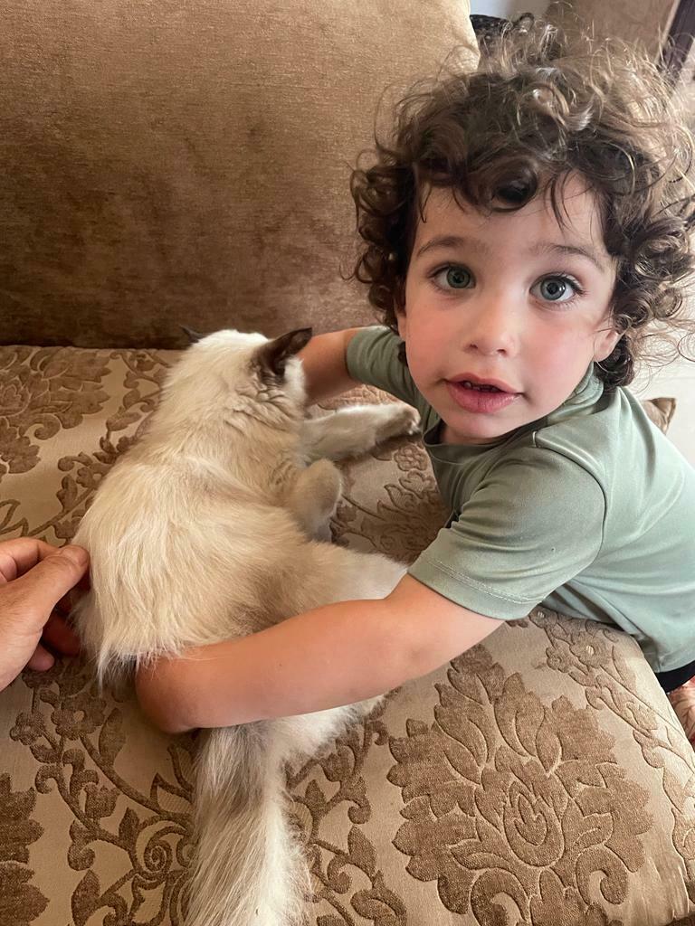 One-year-old Yousef Okal hugs the kitten that showed up on his family's doorstep in Rafah, where the family has been waiting to escape Israeli bombardment in Gaza.