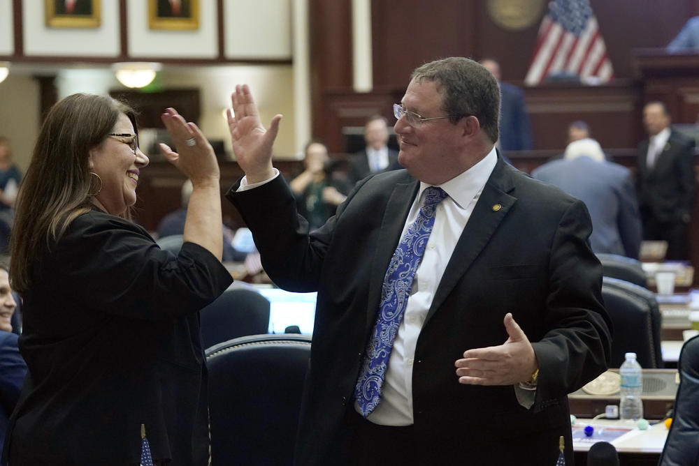 Florida state Reps. Susan Valdes, left, and Randy Fine high-five after debating a bill during a legislative session on March 8, 2022, in Tallahassee, Fla.