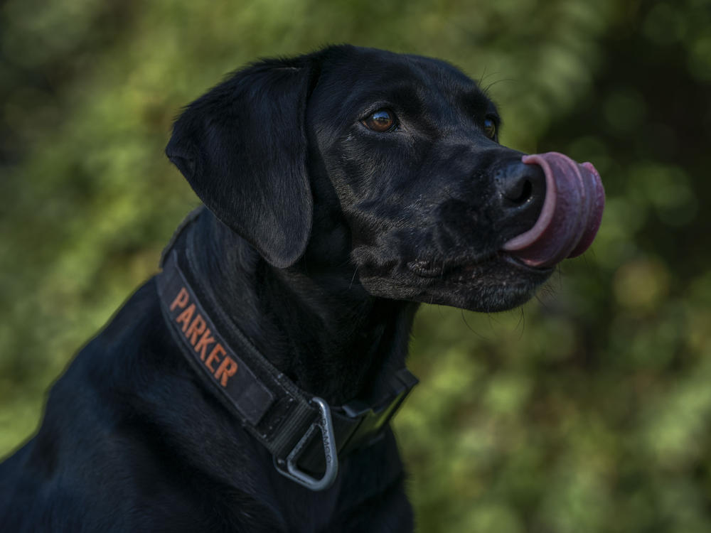 Parker is all about the task at hand.