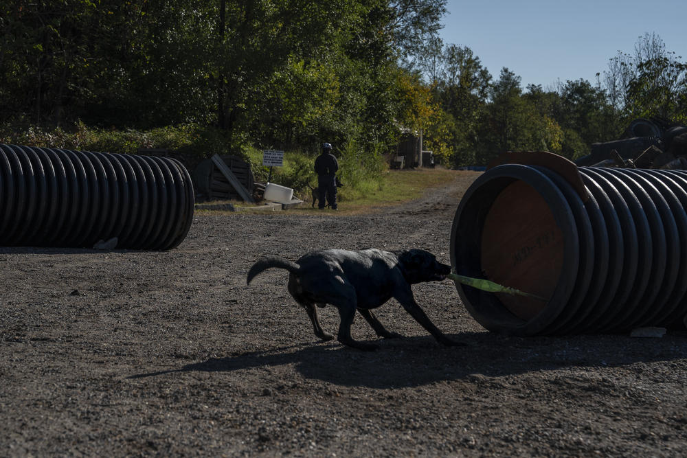 Parker successfully finds someone in a bark barrel.