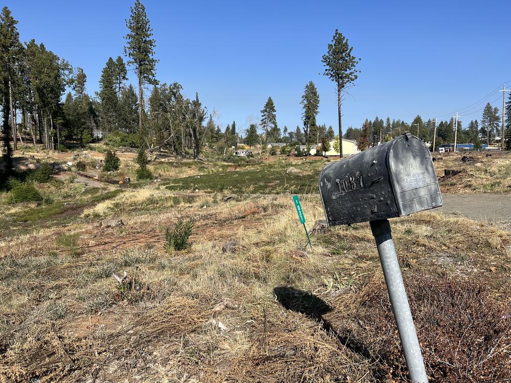 Five years after one of the worst wildfires in American history, the town of Paradise, Calif., is slowly being rebuilt.