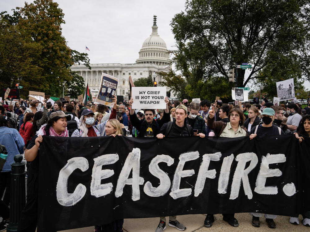 Demonstrators rally to demand a cease-fire against Palestinians in Gaza on Independence Avenue near the U.S. Capitol last month in Washington, D.C.