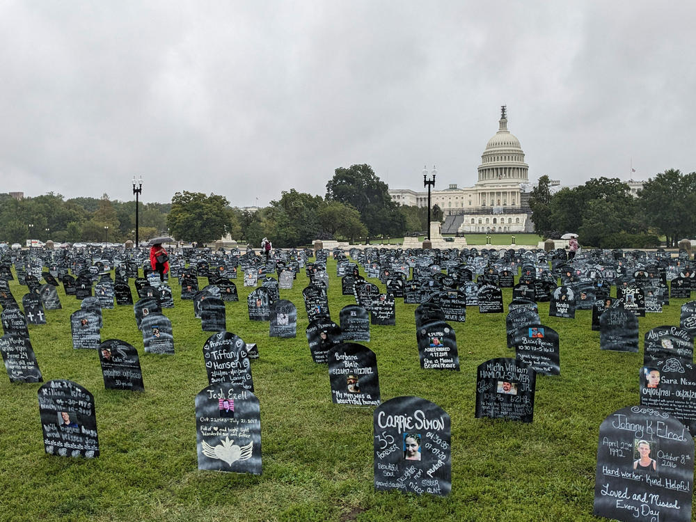 Last year, more than 100,000 Americans died of drug overdoses. Advocates and family members marked the tragic toll with cardboard grave markers on the lawn of the U.S. Capitol on Sept. 23.