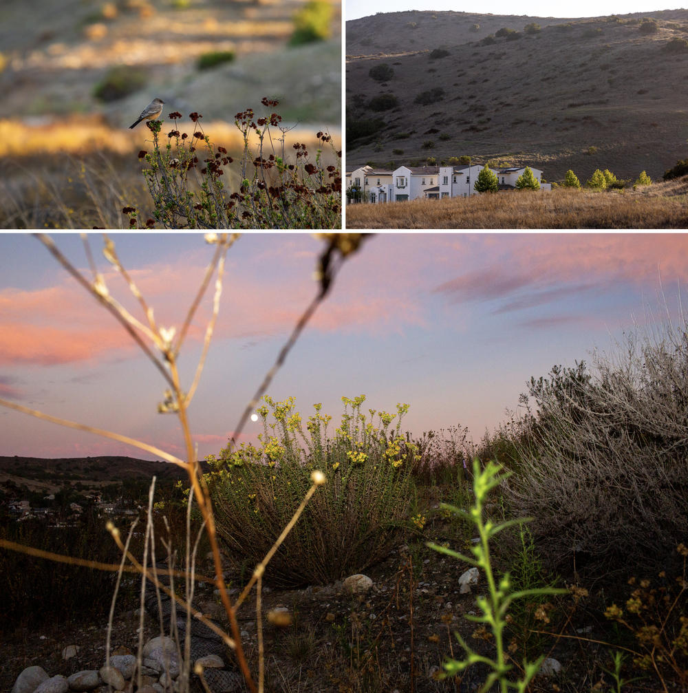 Around a quarter of California's land is at high risk for burning, which means cities are facing tough choices about where to put much-needed new housing.