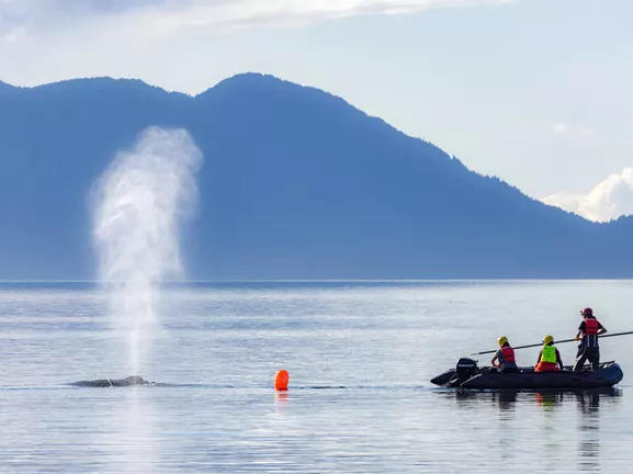 Rescue teams spent an entire day working to cut the whale free from 450 feet of heavy fishing line.