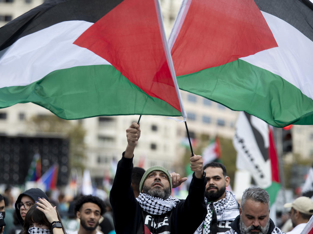 Tens of thousands of people demonstrated in Washington, D.C., on Saturday. It was one of the biggest pro-Palestinian protests in the U.S.